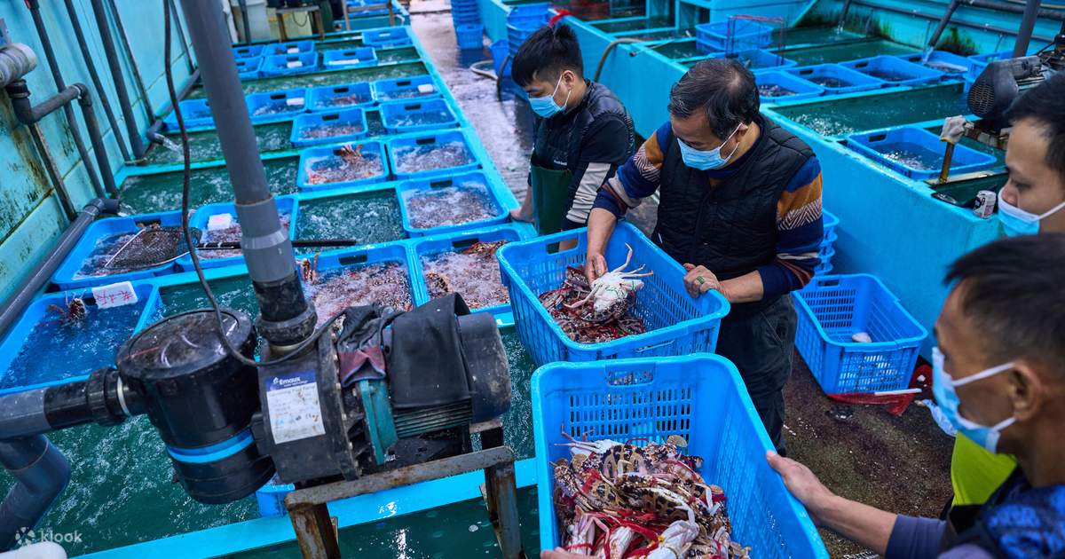 From Sea to Table Aberdeen Wholesale Fish Fresh Seafood Market Klook